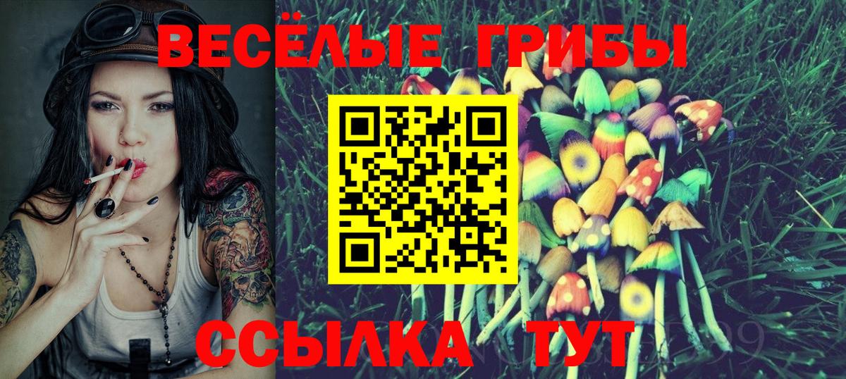 Псилоцибиновые грибы Psilocybine cubensis Алатырь