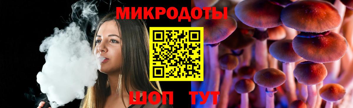 Псилоцибиновые грибы Cubensis  Алатырь  что такое   Псилоцибиновые грибы Psilocybe 